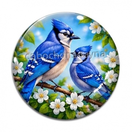 Cabochon Verre - oiseaux
