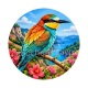 oiseaux