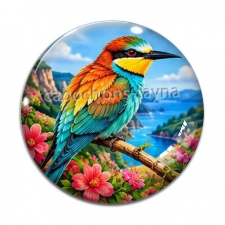 Cabochon Verre - oiseaux