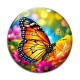 Cabochon Verre - papillon