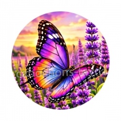 papillon