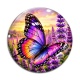 Cabochon Verre - papillon