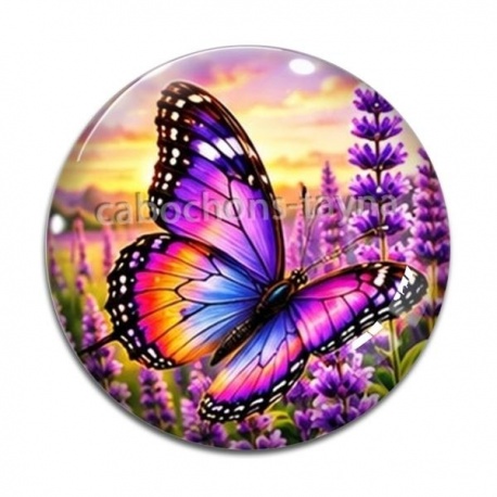 Cabochon Verre - papillon