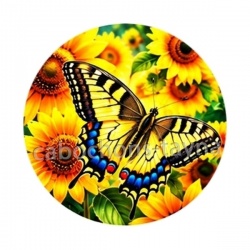 papillon