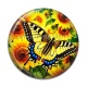 Cabochon Résine - papillon