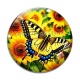 Cabochon Verre - papillon