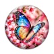 Cabochon Verre - papillon