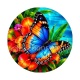 papillon