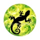 salamandre
