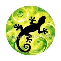 salamandre