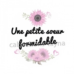 une petite soeur formidable