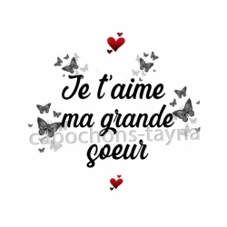je t'aime ma grande soeur