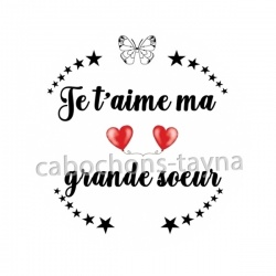 je t'aime ma grande soeur