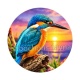 oiseaux