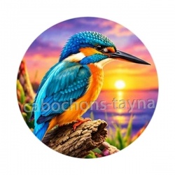 oiseaux