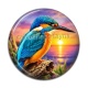 Cabochon Résine - oiseaux