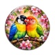 Cabochon Verre - perruche