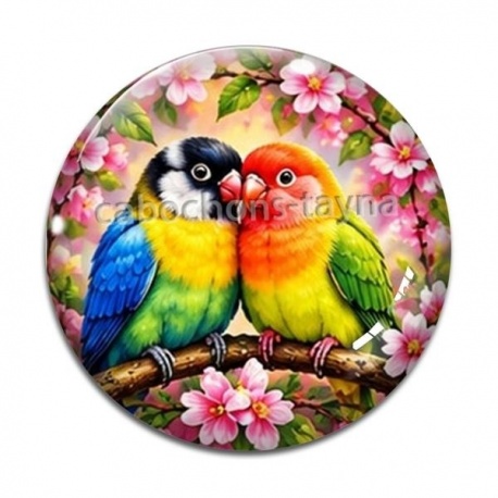 Cabochon Verre - perruche