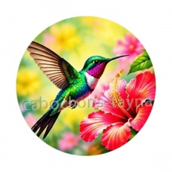 oiseau colibri