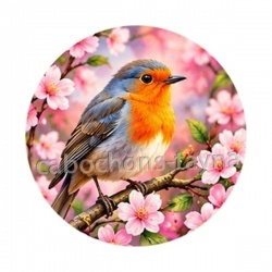 oiseaux 
