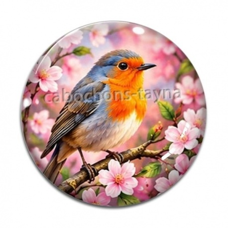 Cabochon Verre - oiseaux 