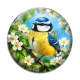 Cabochon Verre - oiseaux