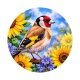 oiseau