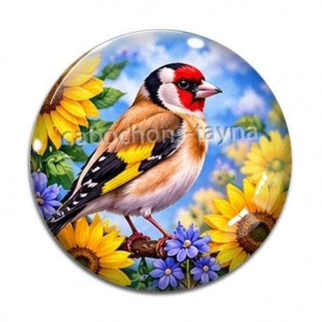 Cabochon Verre - oiseau