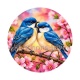 oiseaux