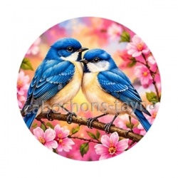oiseaux