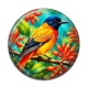 Cabochon Résine - oiseau