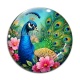 Cabochon Verre - paon