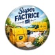Cabochon Verre - super factrice