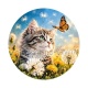 chat 