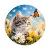 chat 