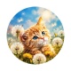 chat