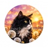 chat