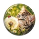 Cabochon Résine - chaton