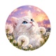 chat