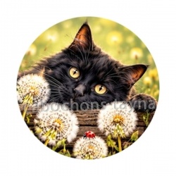 chat