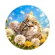 chaton fleur