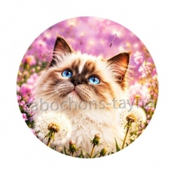 chaton fleur