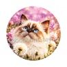 chaton fleur