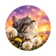 chat