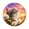 chat