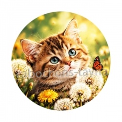 chaton fleur
