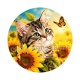 chat tournesol