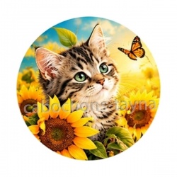 chat tournesol