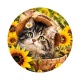 chaton tournesol