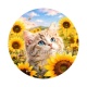 chaton tournesol